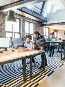 Wild Assetfort crypto platform